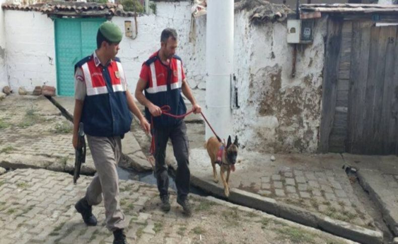 Zeytinli'de uyuşturucu operasyonu