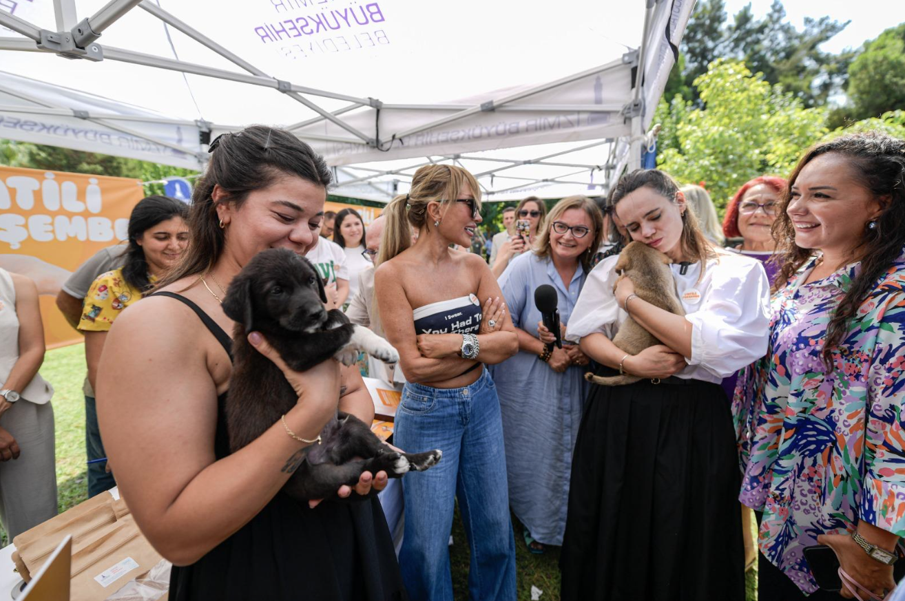 Sahipsiz Köpek Popülasyonu Yönetimi İzmir Eylem Planı hazırlandı