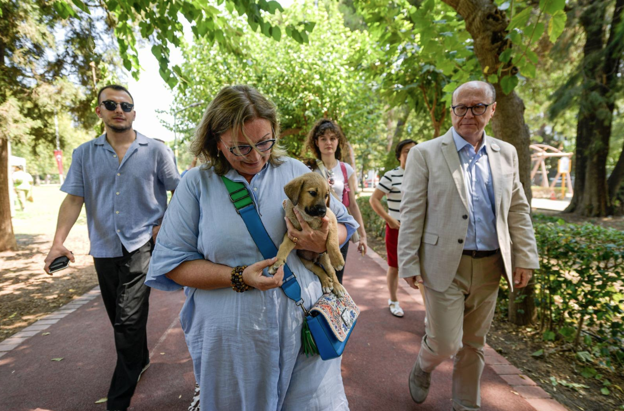 Sahipsiz Köpek Popülasyonu Yönetimi İzmir Eylem Planı hazırlandı