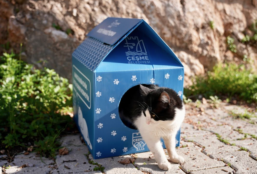 Çeşme Belediyesi’nden sokaktaki minik patilere sıcak bir yuva!