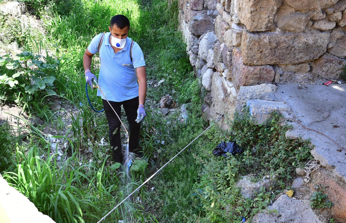 İzmir’de sivrisineklere karşı etkin mücadele