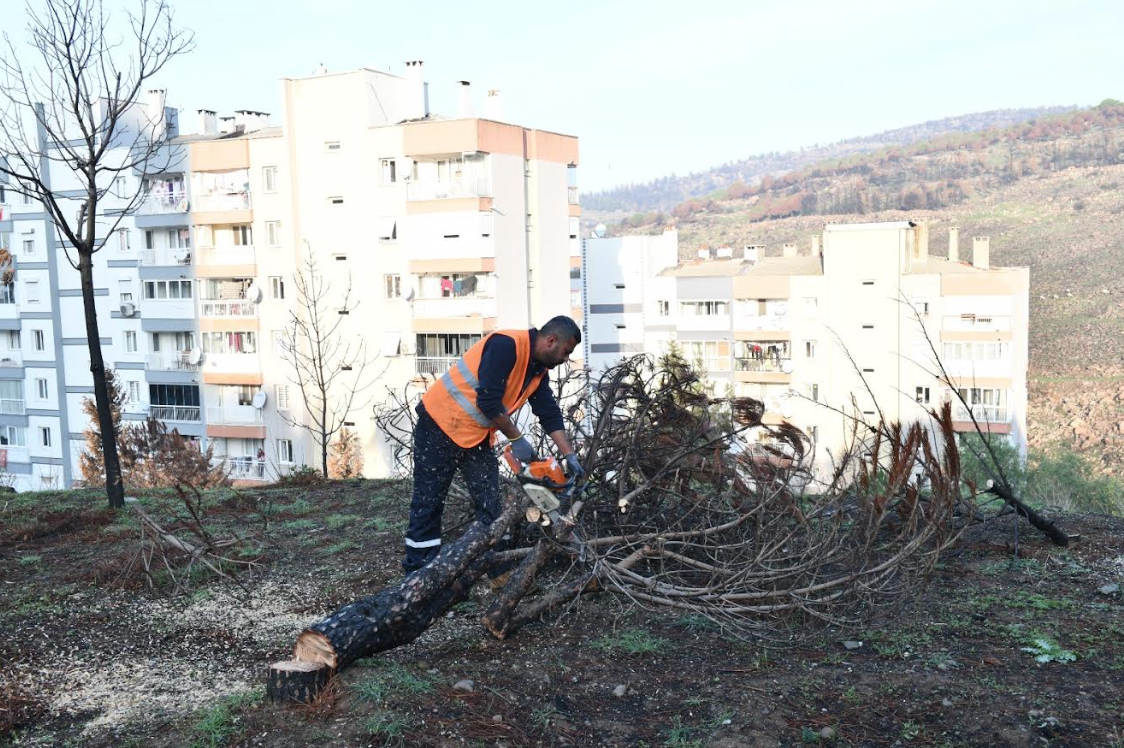 Çiğli Belediyesi Orman Yangınının İzlerini Silmek İçin Seferber Oldu