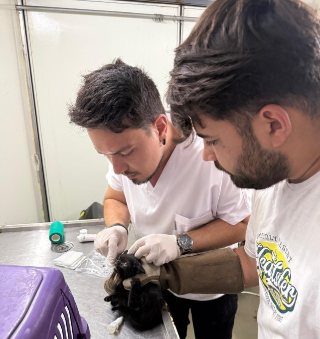 Büyükşehir ekipleri tüm birimleriyle sahada