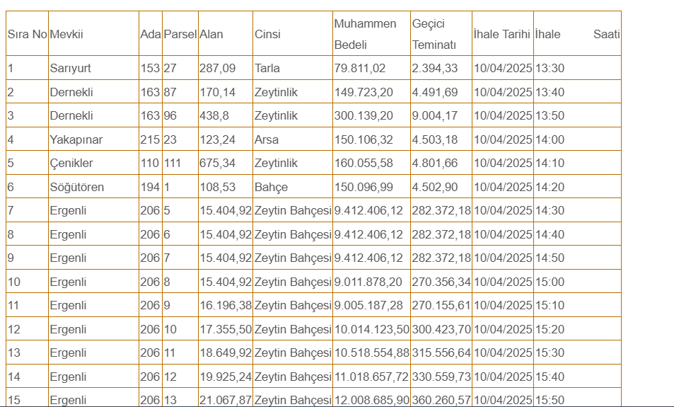 Bayındır Belediyesi 26 taşınmazı satışa çıkardı